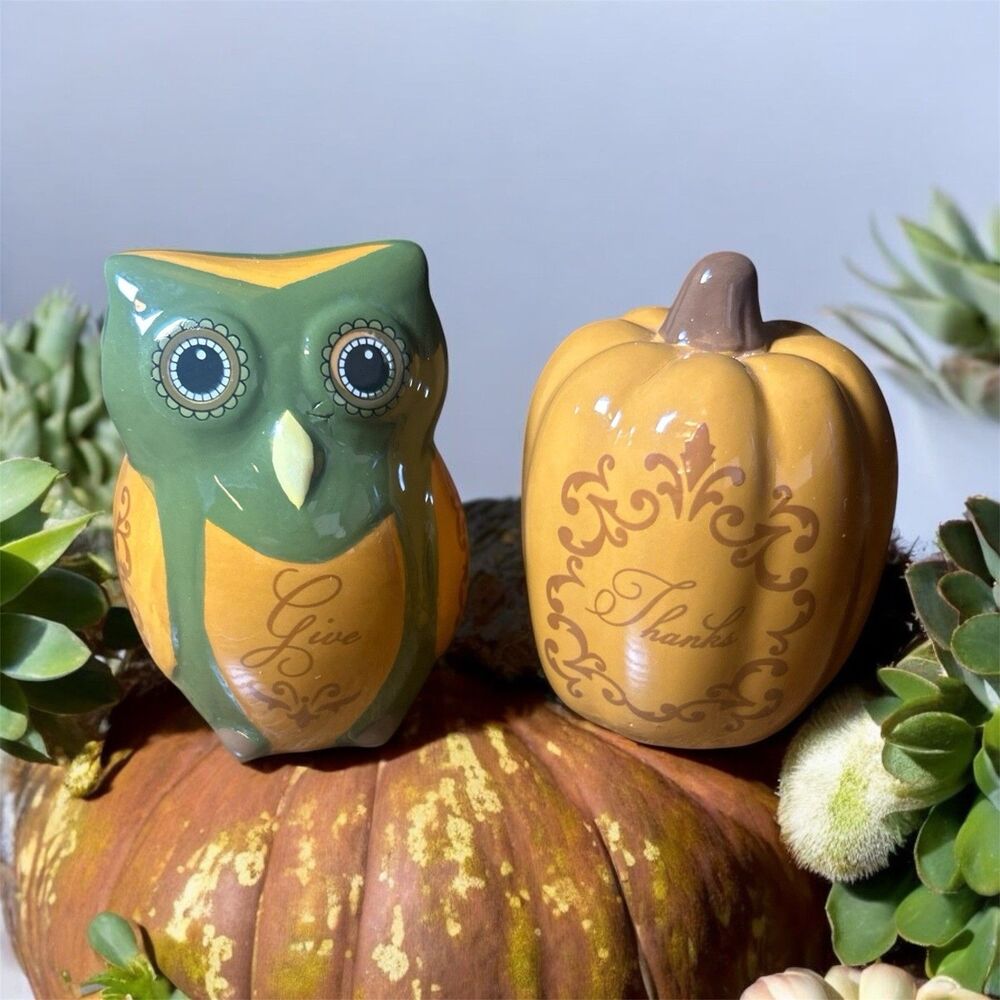 Owl And Pumpkin "Give Thanks" Salt And Pepper Shakers Autumn Fall Thanksgiving